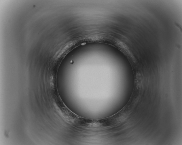 X0000103230212200809041032