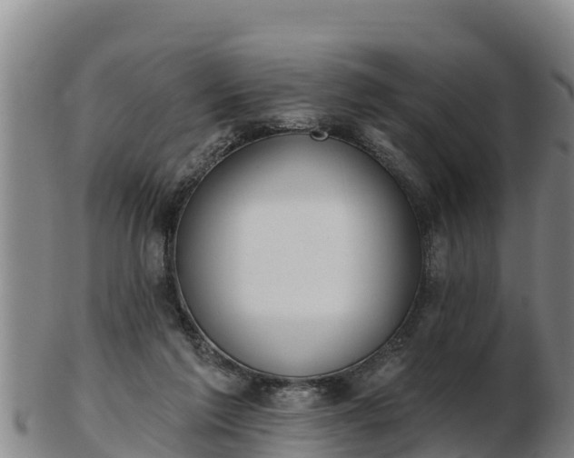 X0000103230213200809041032