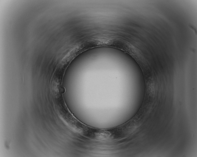 X0000103230215200809041032