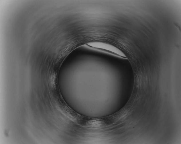 X0000103230219200809041032