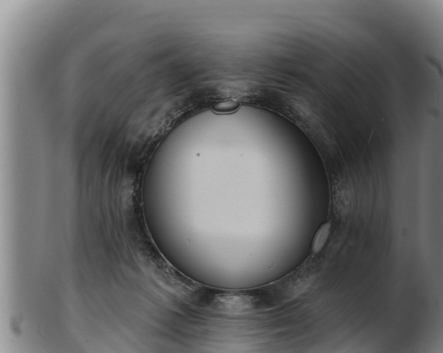 X0000103230221200809041032