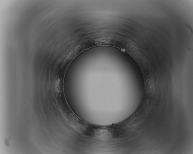X0000103230224200809041032