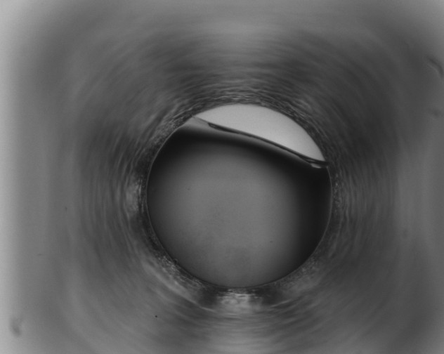 X0000103230227200809041031