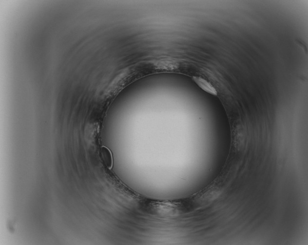X0000103230229200809041031
