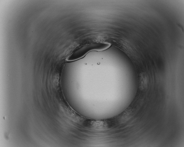 X0000103230230200809041031