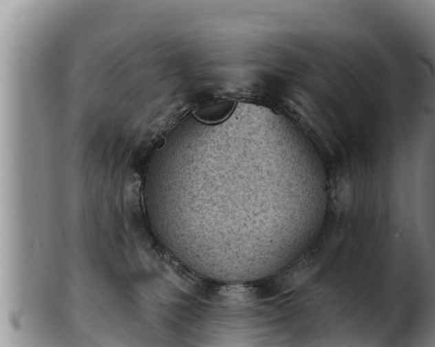 X0000103230231200809041031