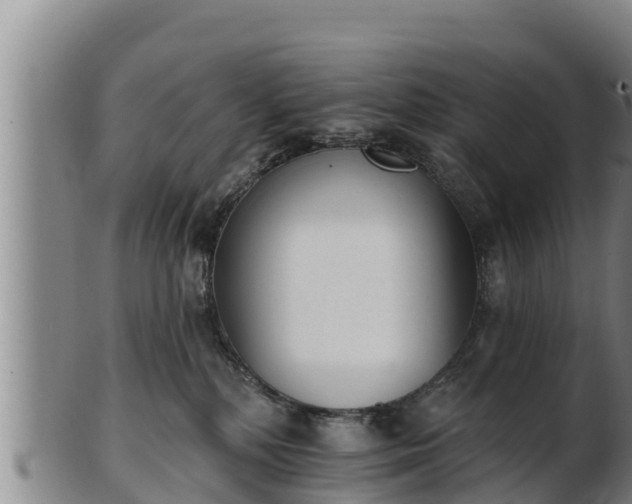 X0000103230232200809041031