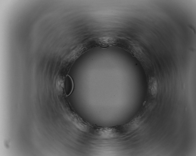 X0000103230235200809041031