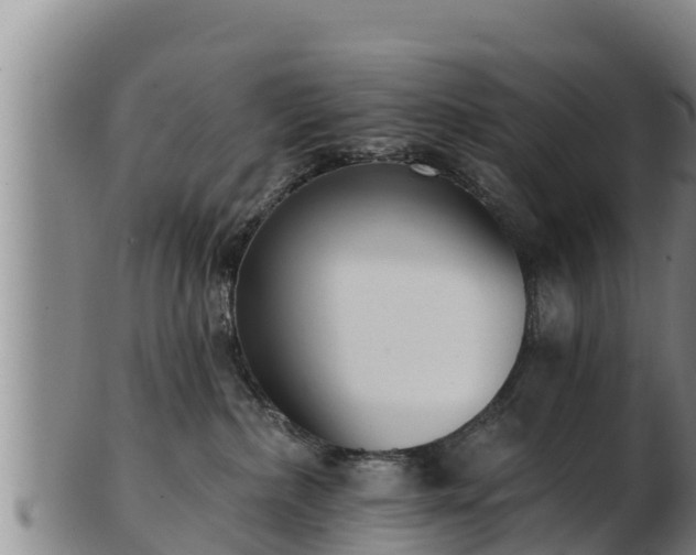 X0000103230236200809041031