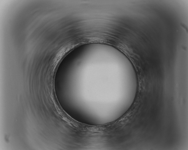 X0000103230241200809041031
