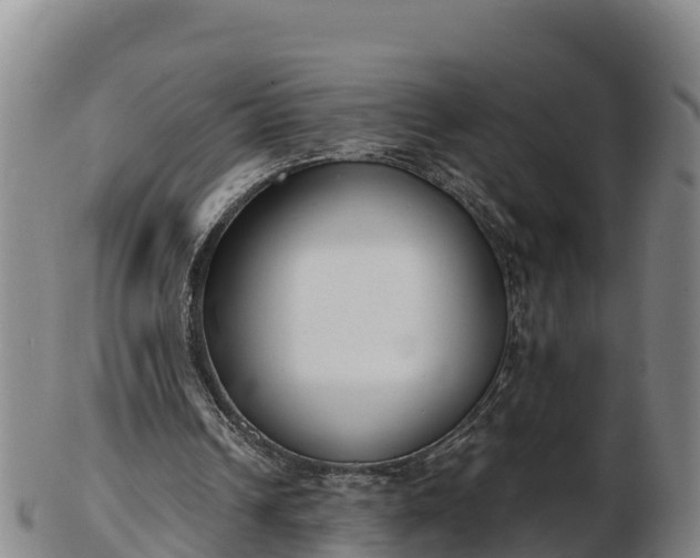 X0000103230242200809041031