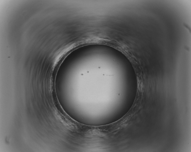 X0000103230244200809041031