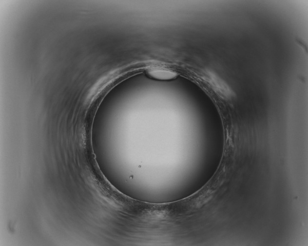 X0000103230247200809041031