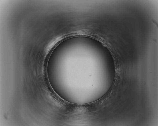 X0000103230248200809041031