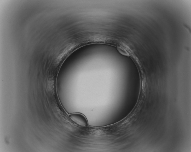 X0000103230249200809041031