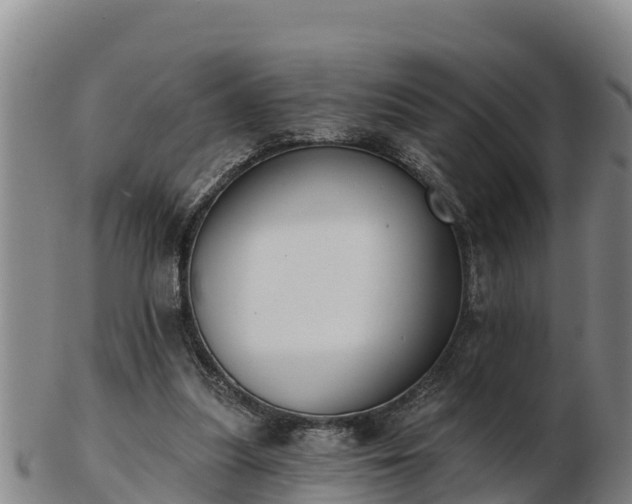 X0000103230251200809041031