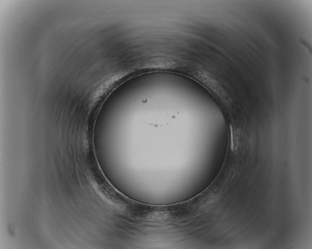 X0000103230252200809041031