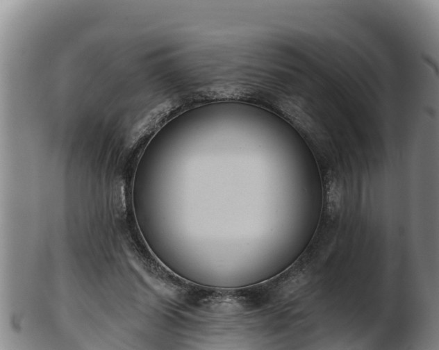 X0000103230254200809041031