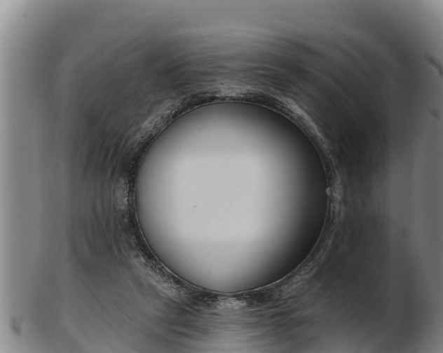 X0000103230257200809041031