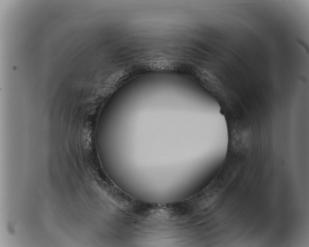 X0000103230259200809041031