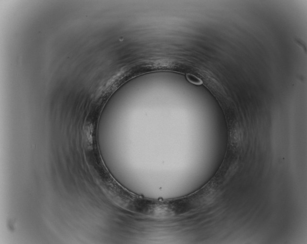 X0000103230264200809041031