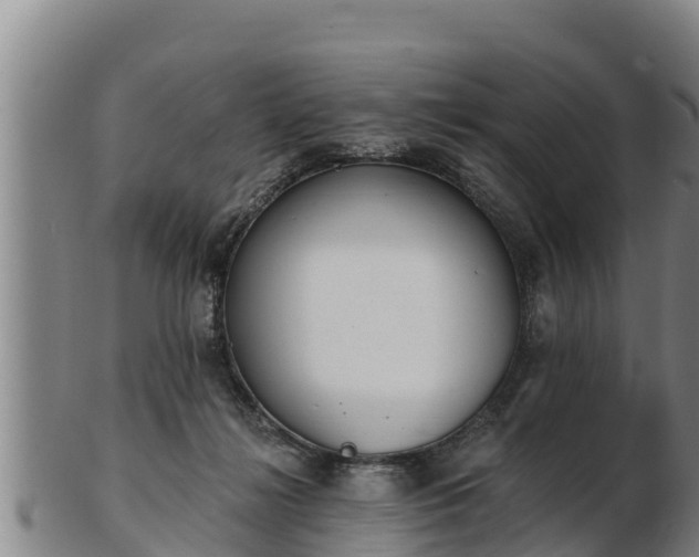 X0000103230268200809041031