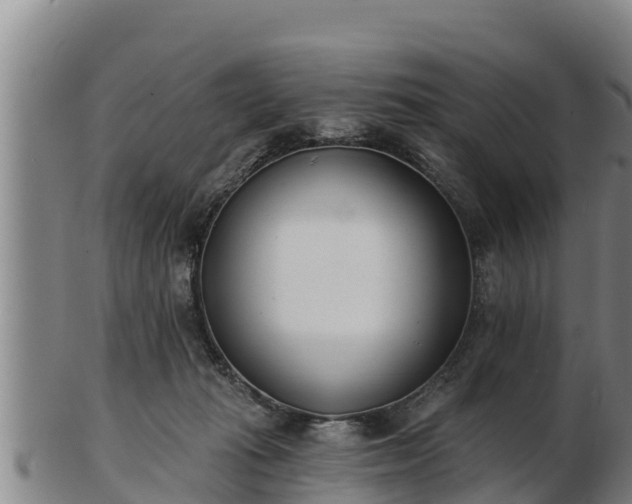 X0000103230269200809041031