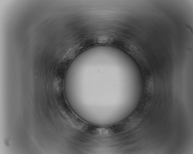 X0000103230272200809041031