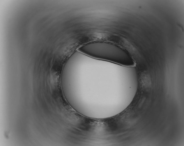 X0000103230276200809041031