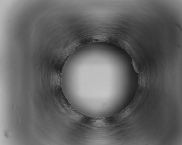 X0000103230285200809041031