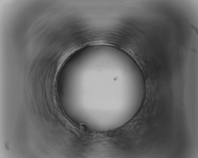 X0000103230289200809041031