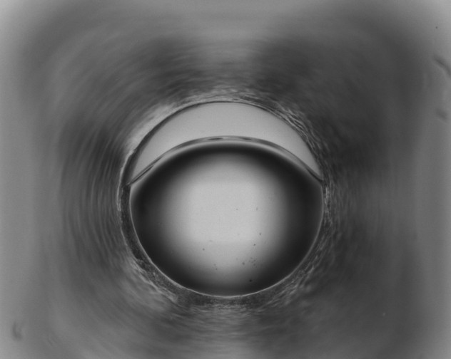 X0000103230292200809041031