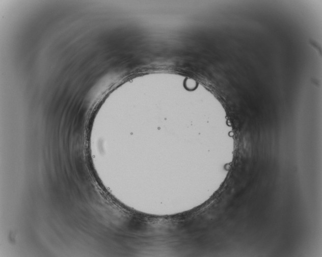 X0000103230293200809041031