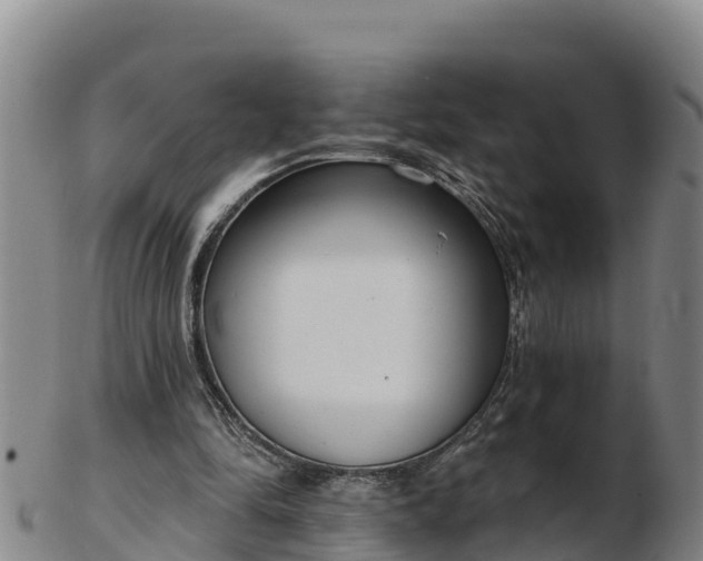 X0000103230294200809041031