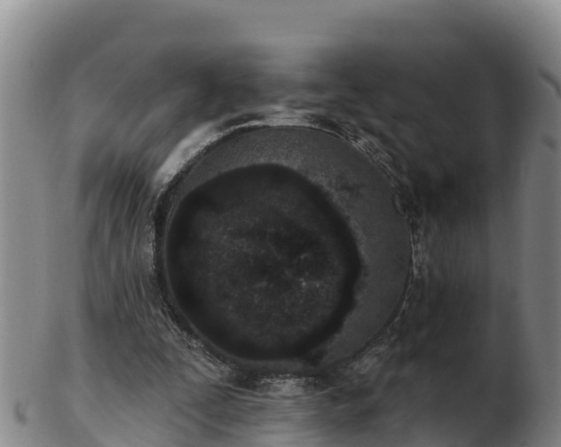 X0000103230295200809041031