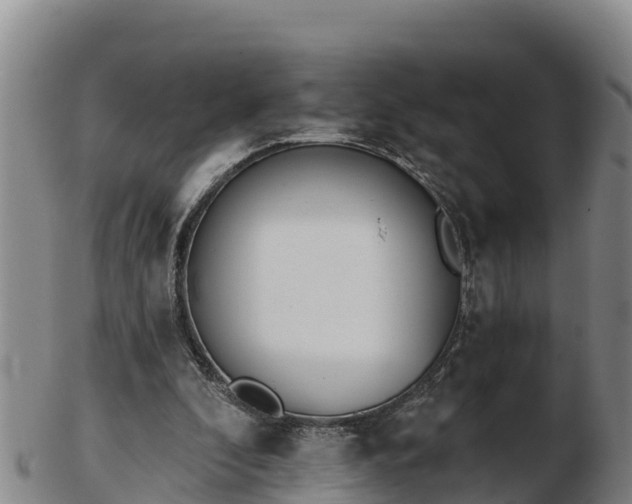 X0000103230296200809041031