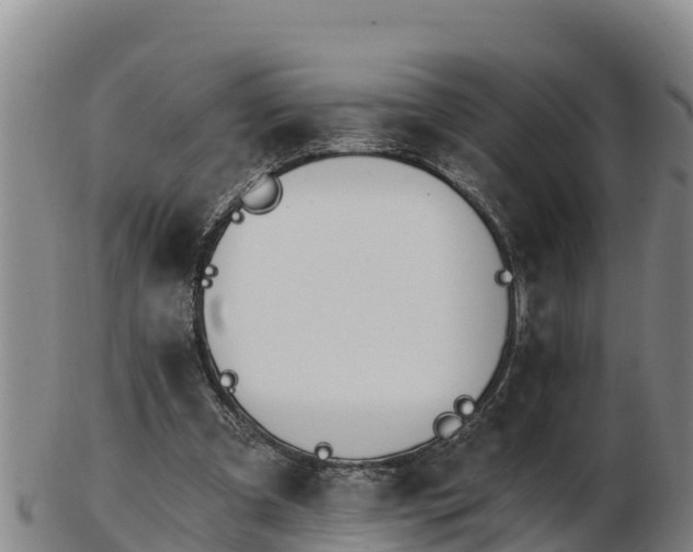 X0000103230297200809041031