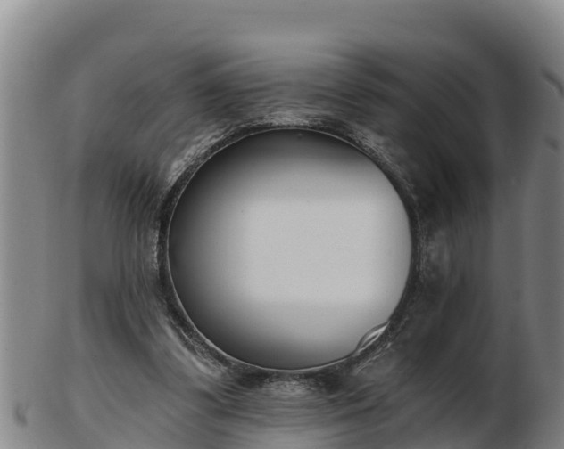 X0000103230299200809041031