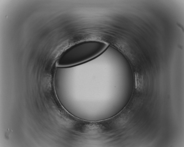 X0000103230300200809041030