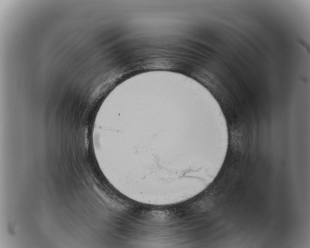 X0000103230302200809041030