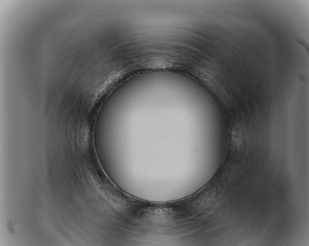 X0000103230304200809041030