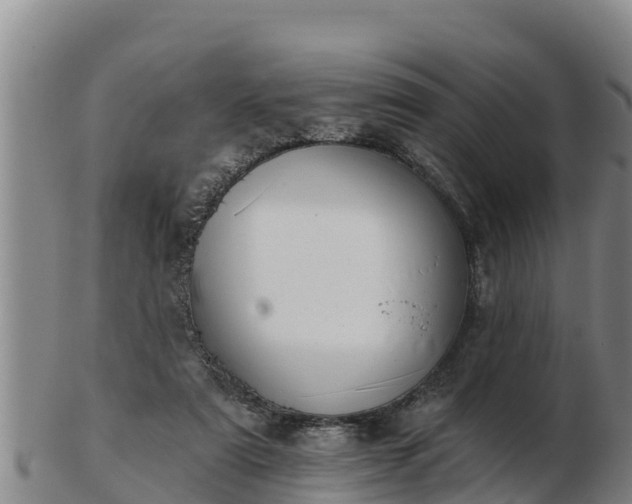 X0000103230307200809041030
