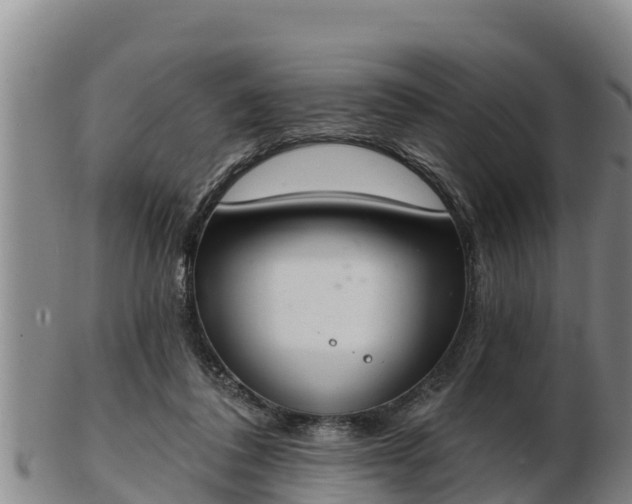X0000103230308200809041030