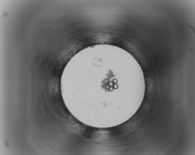 X0000103230313200809041030