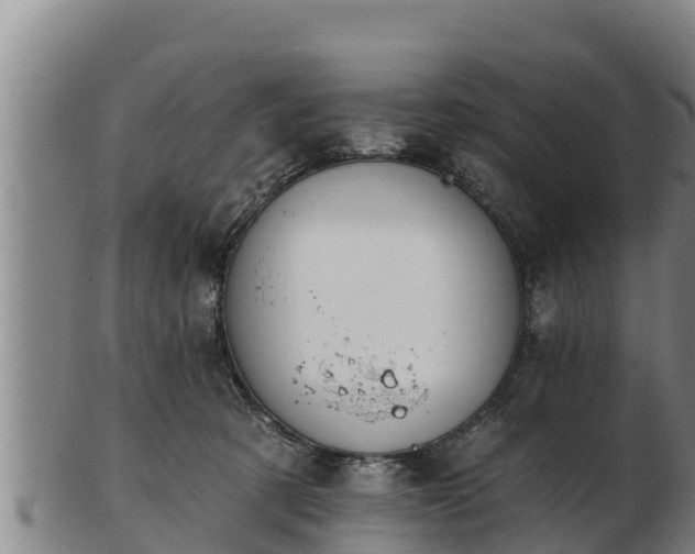 X0000103230321200809041030