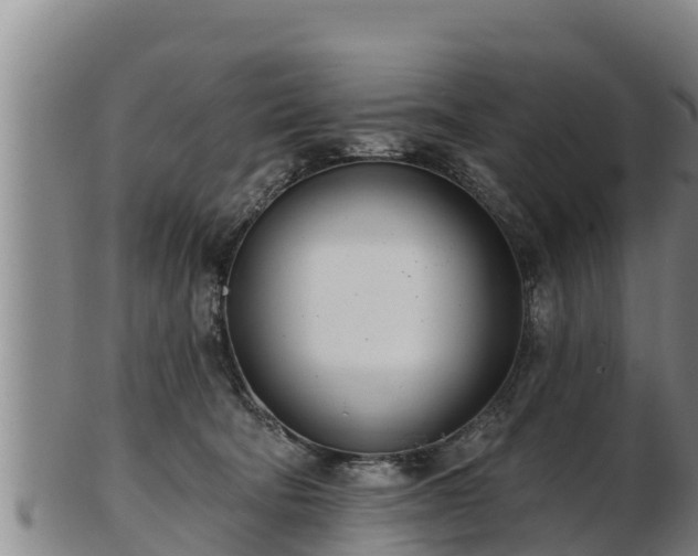 X0000103230322200809041030