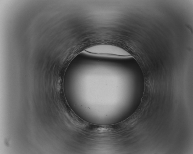 X0000103230323200809041030