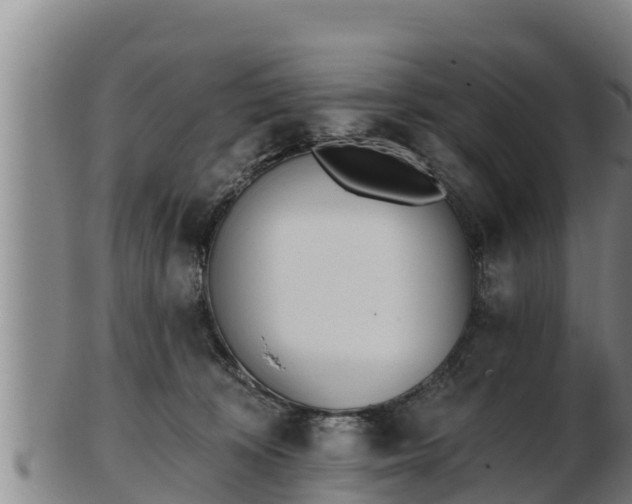 X0000103230324200809041030