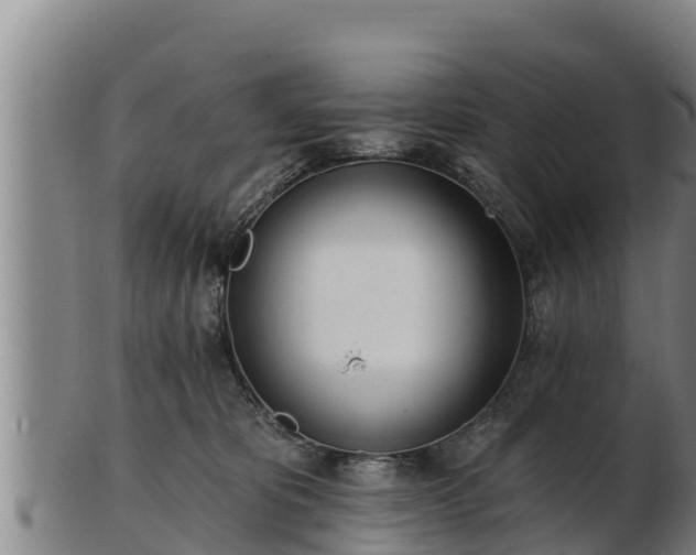 X0000103230325200809041030