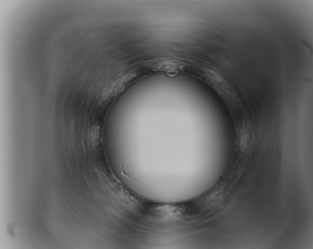 X0000103230326200809041030